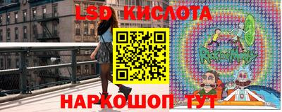 ALPHA PVP Кингисепп