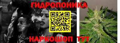 мяу мяу мука Кинель