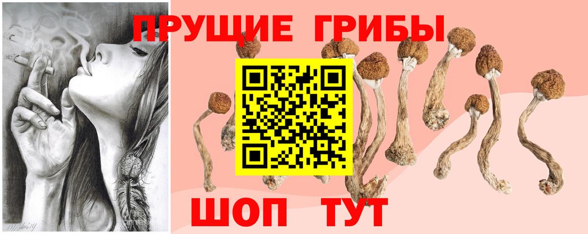 Псилоцибиновые грибы прущие грибы Киселёвск